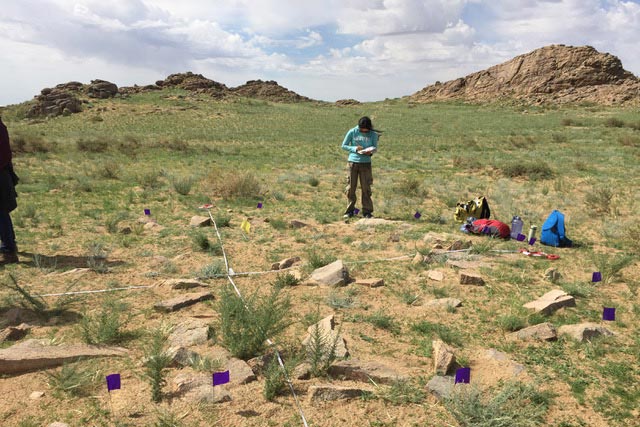 researchers working in the field