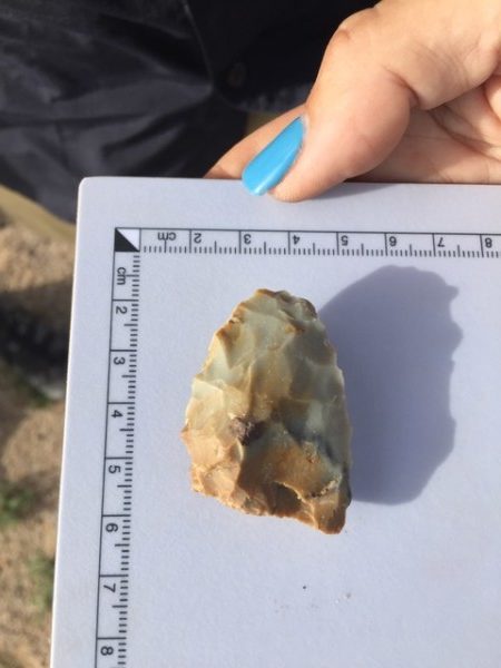 image of a field study find