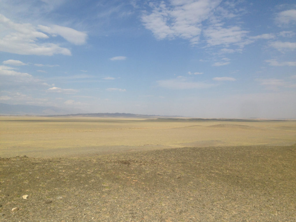 the Gobi desert